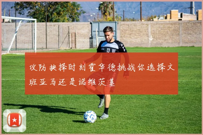攻防抉择时刻霍华德挑战你选择文班亚马还是诺维茨基