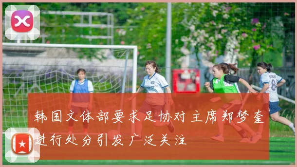 韩国文体部要求足协对主席郑梦奎进行处分引发广泛关注