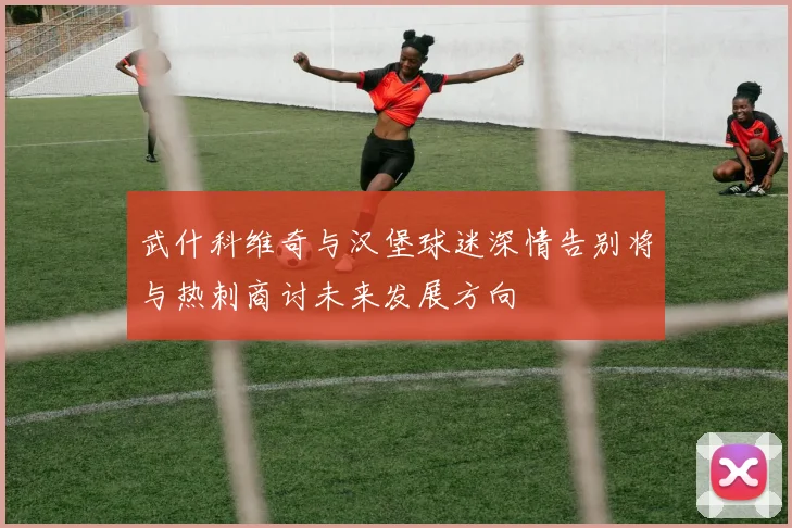 武什科维奇与汉堡球迷深情告别将与热刺商讨未来发展方向