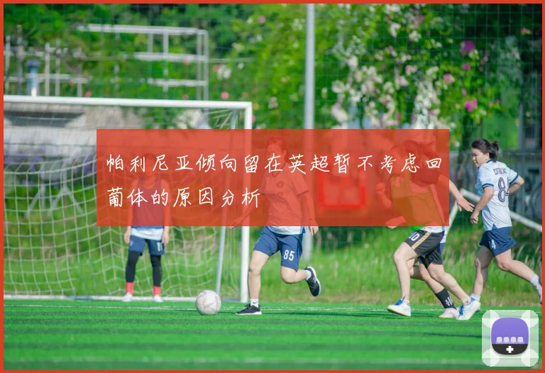 帕利尼亚倾向留在英超暂不考虑回葡体的原因分析