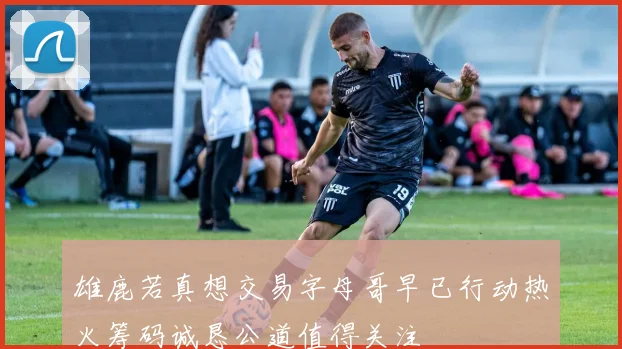 雄鹿若真想交易字母哥早已行动热火筹码诚恳公道值得关注